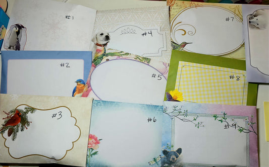 Mystery Clearance Envelopes